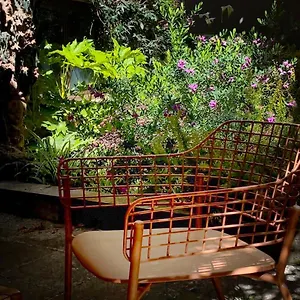 Loquat House Nel Giardino Segreto In Zona Vaticano Appartement Rome